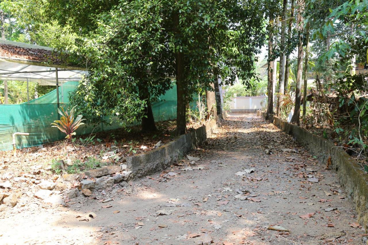 The Mana-Heritage Stay - Chengazhimattam Mana Kottayam Ngoại thất bức ảnh